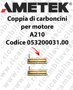 COPPIA Carboncini Motore aspirazione X motore Ametek A210 