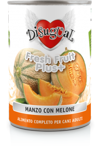 Disugual fresh fruit manzo melone 400 g
