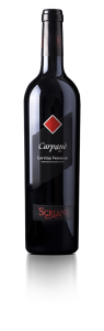 Vino rosso Carpanè Corvina Veronese 100%