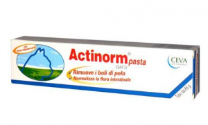 ACTINORM PASTA VETERINARIA PER GATTI 65 g