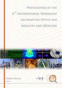 Proceedings of the X.th international workshop on adaptive optics for industry and medicine