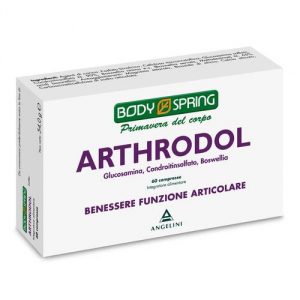 BODY SPRING ARTHRODOL 60 COMPRESSE