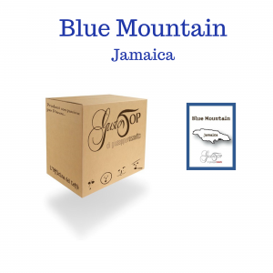 Caffè monorigine in cialda Jamaica Blue Mountain, confezioni da 25 o 50 cialde in carta ese 44 mm 