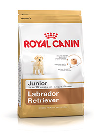Labrador Retriever Puppy confezione 12kg