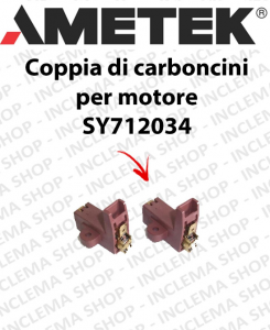 COPPIA di Carboncini Moteur Aspiration  pour motori AMETEK - 2 x Cod: 42015