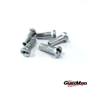 21350F02 NIPPLES RAGGI RUOTE D. 3,5 MOTOCICLI ALPINA (5 pz)