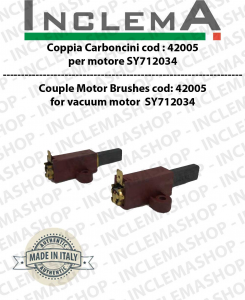 COPPIA di Carboncini Moteur Aspiration pour motori AMETEK - 2 x Cod: 42005