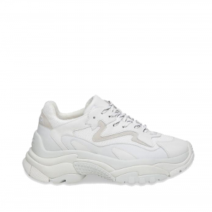 Sneakers Addict12  bianco - ASH