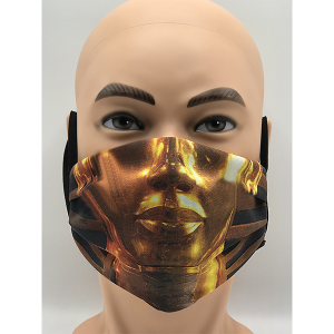 Fashion safe mask