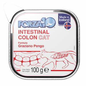 Intestinal Colon - Pesce