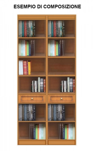 High functional bookcase in wood