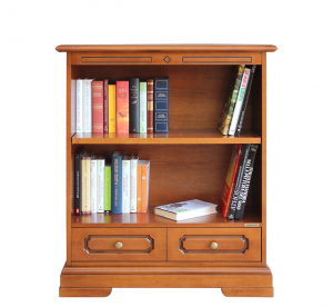 Low bookcase with drawer