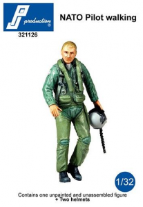 NATO Pilot