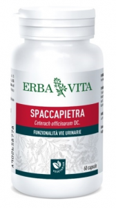 SPACCAPIETRA - INTEGRATORE DRENANTE ERBAVITA 300 MG 60 CAPSULE 