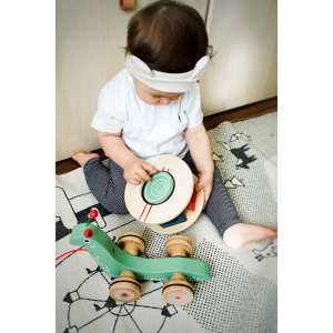 Gioco in legno Lumaca da tirare Hape - Tutto per i bambini In vendita a  Verona