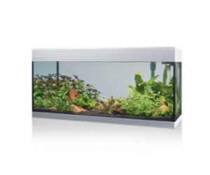 Askoll Pure kit XL Bianco - kit acquario cm 76x36x43,5h 94 litri dotato di illuminazione LED e sistema di filtraggio