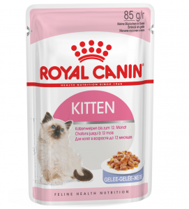 Royal Canin - Feline Health Nutrition - Kitten - 85g x 12 bustine