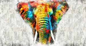 Elephant paint white - Stampa su tela di un elefante visto frontalmente, con telaio in legno a fondo materico: misure 62x115 cm / 77x143 cm / 100x180 cm