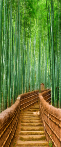 Bridge bamboo - Stampa digitale su Plexiglass®, misura 50x120 cm