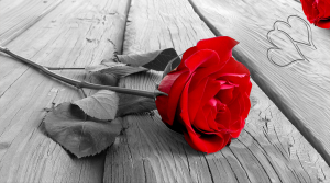 Passione - Stampa digitale su Plexiglass® di una rosa rossa sul pavimento in bianco e nero, misure 100x150 cm / 100x180 cm