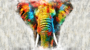 Elephant paint white - Stampa digitale su Plexiglass®, misure 100x150 cm / 100x180 cm