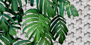 Plant - Stampa su tela con telaio in legno della pianta Monstera deliciosa, misure 200x240 (2 tele 100x240) / 300x240 (2 tele 150x240)