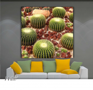 Cactus - Stampa su tela con telaio in legno delle piante grasse Cuscino della Suocera, misure 160x160 (4 tele) / 200x200 (4 tele) / 160x240 (6 tele) / 200x300 (6 tele)