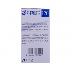 GINPENT 