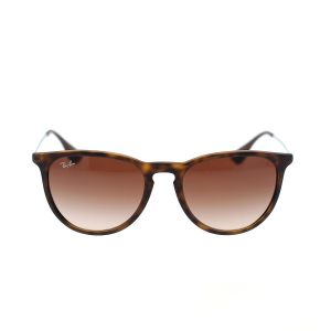 Ray-Ban Erika Sonnenbrille RB4171 865/13