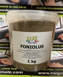 SEMI FONIOLUS 1 kg