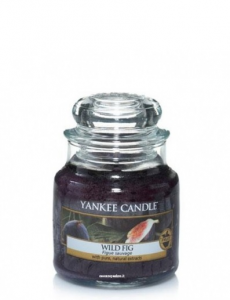Yankee Candle - WILD FIG- GIARA PICCOLA