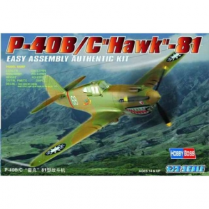 P-40B/C Hawk-81 scala 1-72
