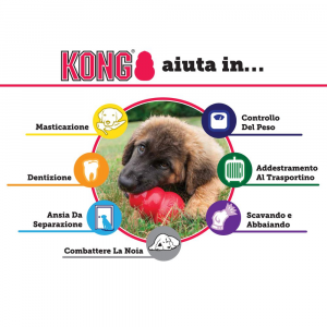 Kong - Puppy - M