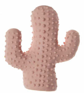 Imac - Cactus in Lattice
