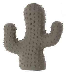 Imac - Cactus in Lattice