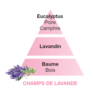 Profumo Champs De Lavande 1000 ml. Maison Berger