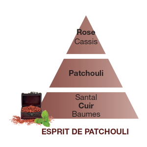 Profumo Esprit De Patchouli 500 ml. Maison Berger