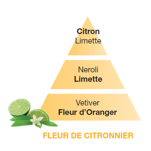Profumo Fleur De Citronnier 500 ml. Maison Berger