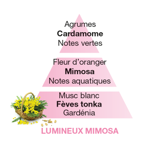 Profumo Lumineux Mimosa 1000 ml. Maison Berger