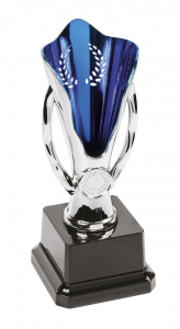 Trofeo coppa blu