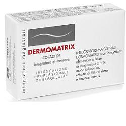 DERMOMATRIX INTEGR MAG 20CPS