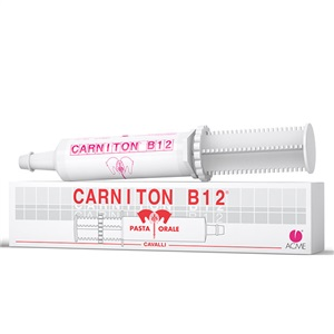 CARNITON B 12 PASTA SIRINGA 