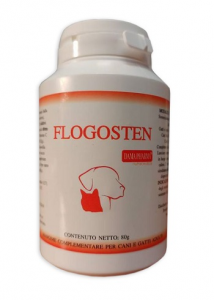 FLOGOSTEN 80G               