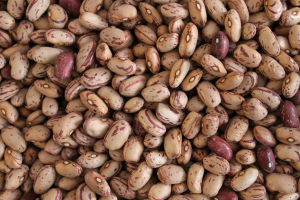 Borlotto Beans