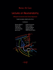 Lectures on Neuroanatomy