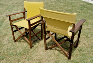 Coppia sedie vintage da regista
