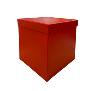 Scatola in Cartone Cubo Rossa S5 M5  24x24