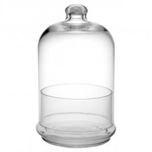 Contenitore barattolo in vetro trasparente con cupola in vetro trasparente