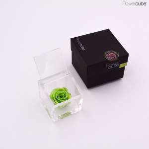 Flowercube rose stabilizzate colore verde