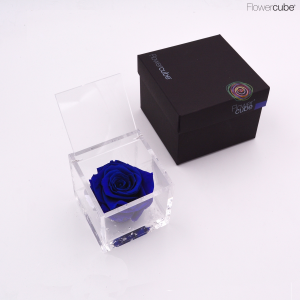 Flowercube rose stabilizzate colore blu